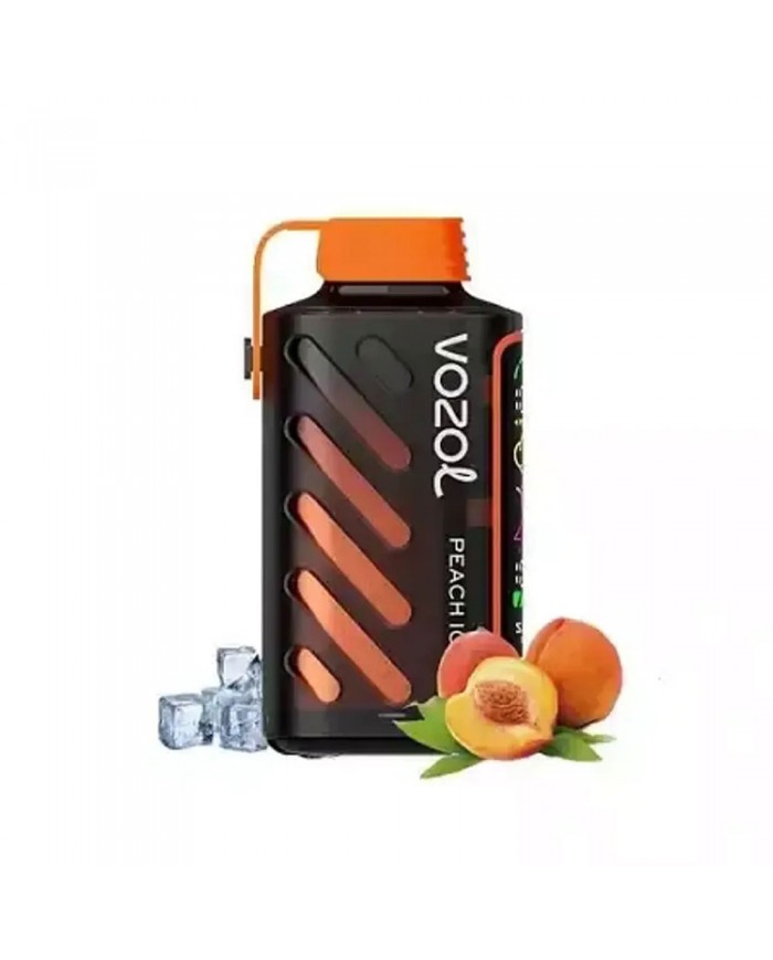 Vozol Gear Power 20000 Peach ICE