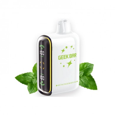 Geek Bar Pulse 15000 Miami Mint
